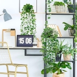 Artificial Hanging Plants for Shelf, 4 Pack Fake Potted Greenery Faux Eucalyptus Vine, Mandala Vine, String of Pearls,Pea pod Leaves in Pot for Office Living Room Bathroom Indoor Outdoor Décor - Image 2